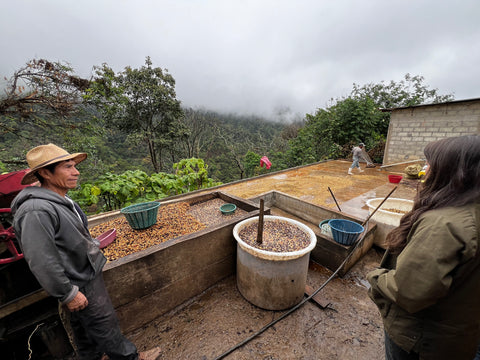 DECAF MEXICO - Sierra Azul