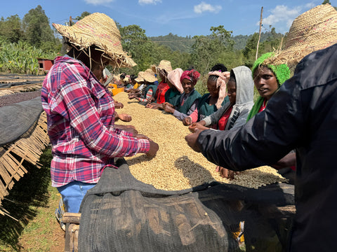 ETHIOPIA - Shanta Golba Natural