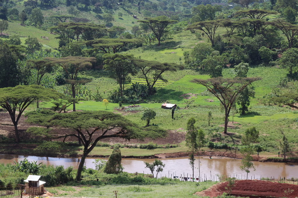 ETHIOPIA - Anasora Site Natural