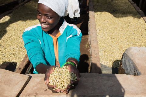 ETHIOPIA - Limmu Kossa Washed