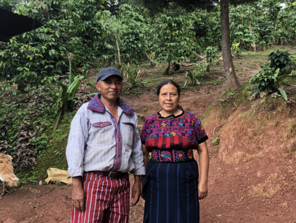 GUATEMALA - ASDECAFE