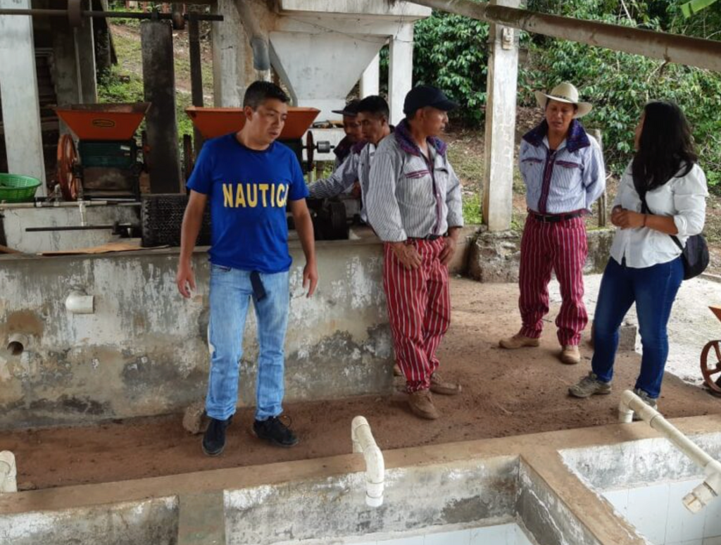 GUATEMALA - ASDECAFE