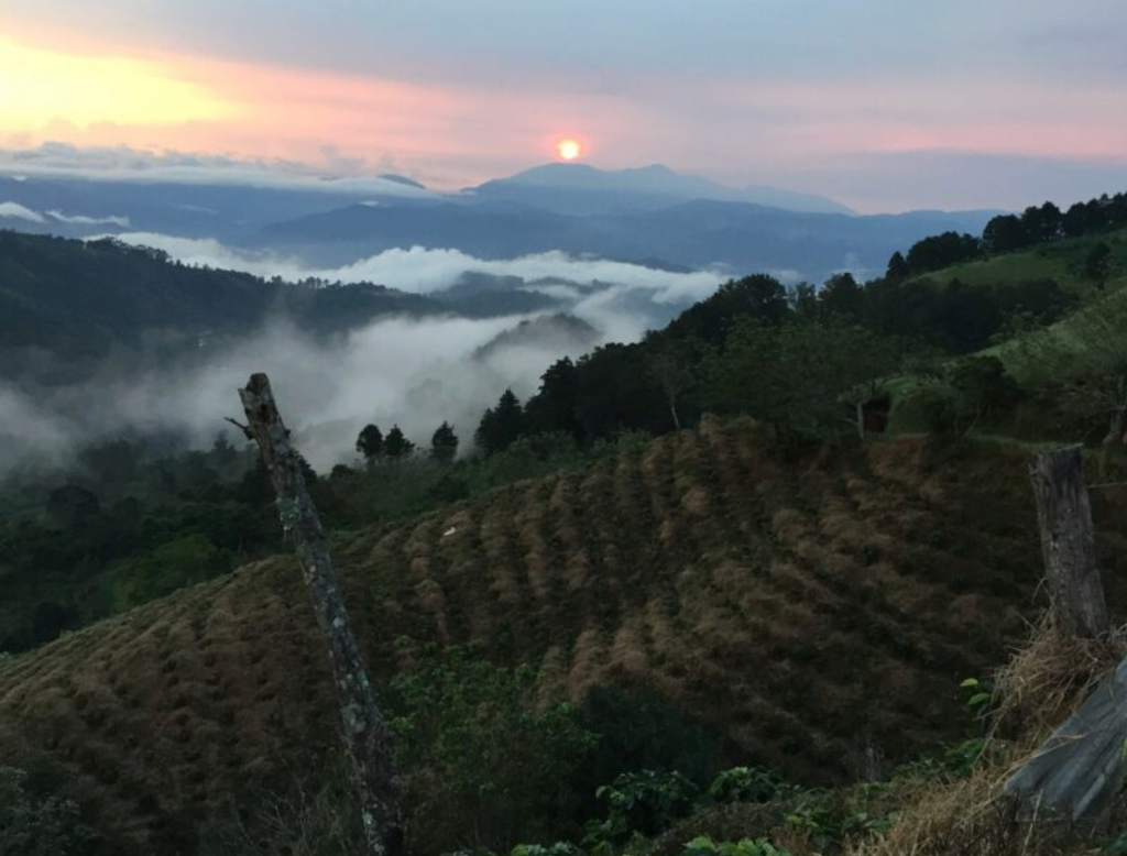COSTA RICA - San Rafael Tarrazu