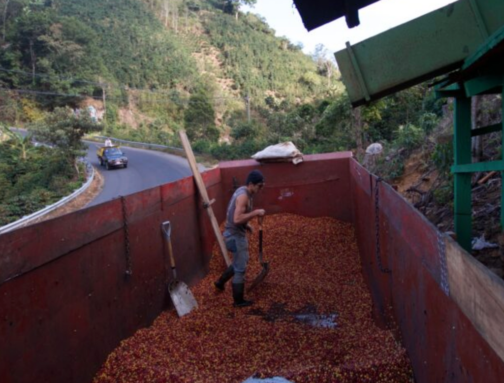 COSTA RICA - San Rafael Tarrazu