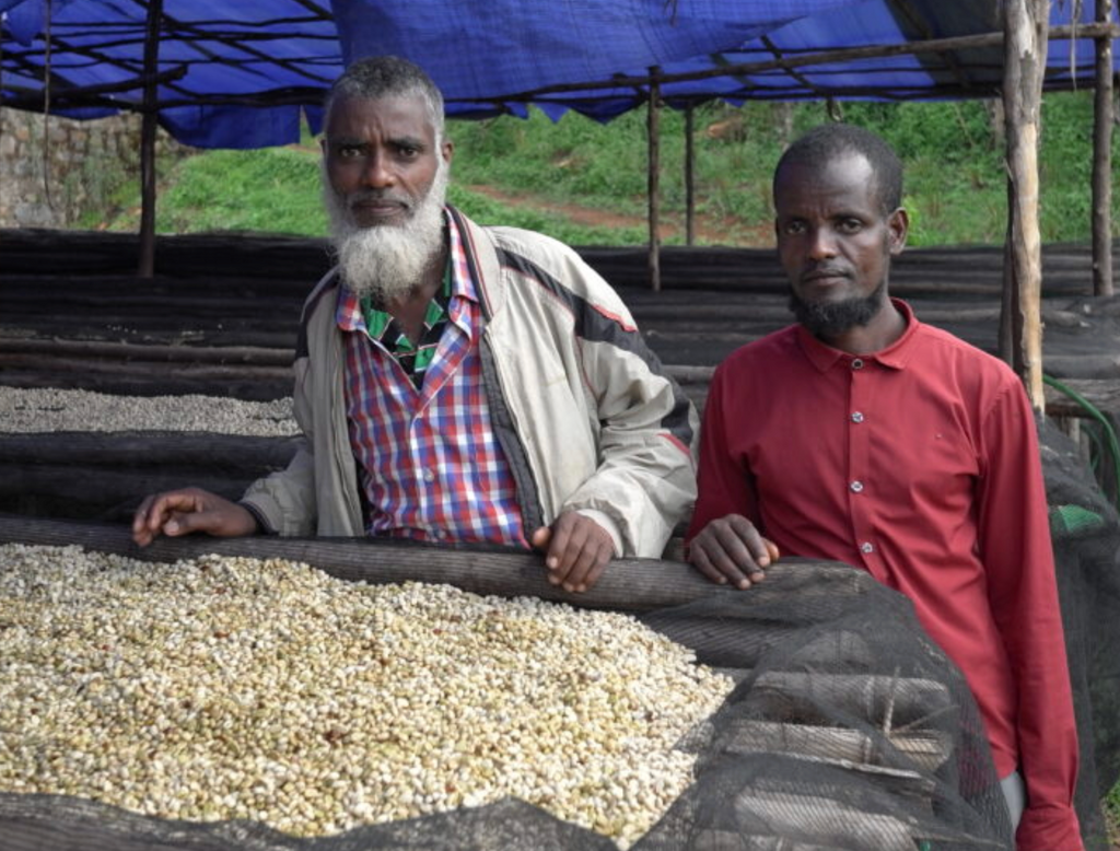 ETHIOPIA - Yukro Washed