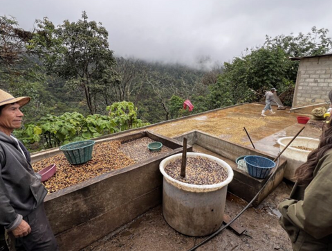 MEXICO - Sierra Azul