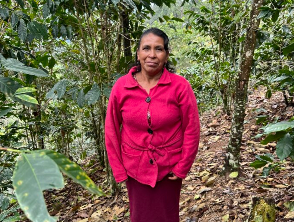 MEXICO - Sierra Azul