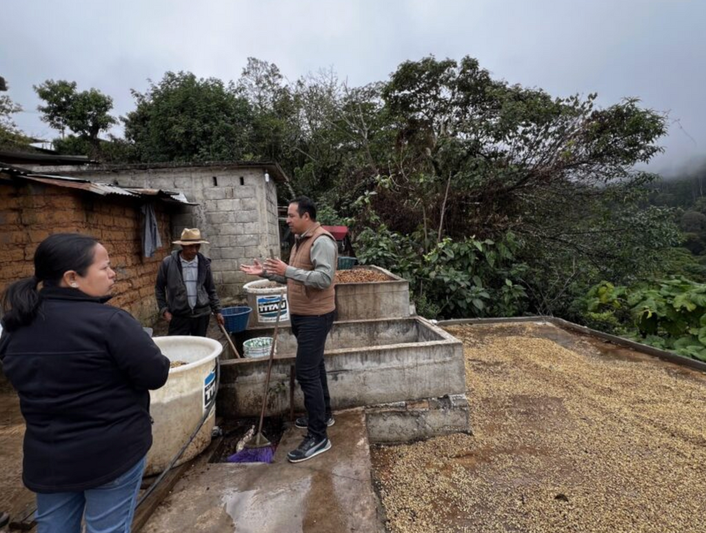 MEXICO - Sierra Azul