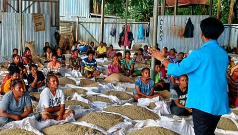 PAPUA NEW GUINEA - Kinmuga PB