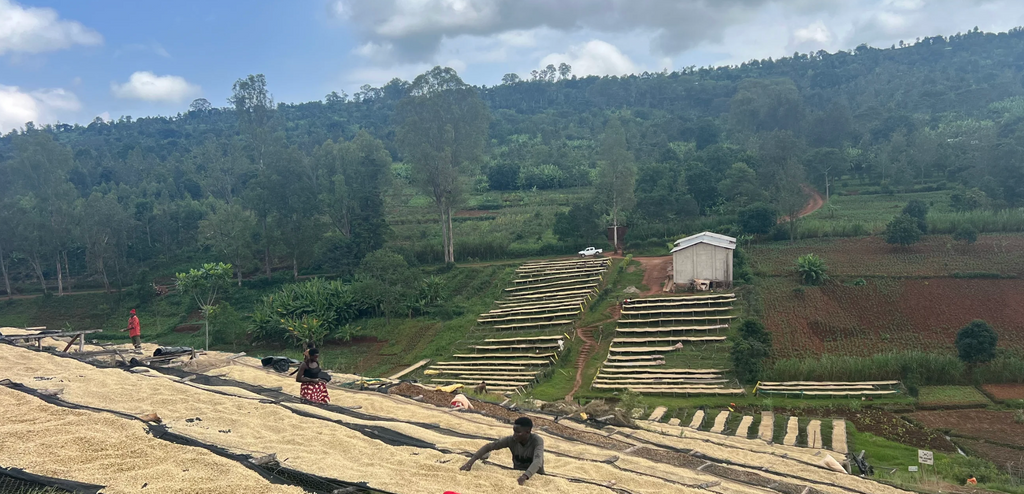BURUNDI - Busasa