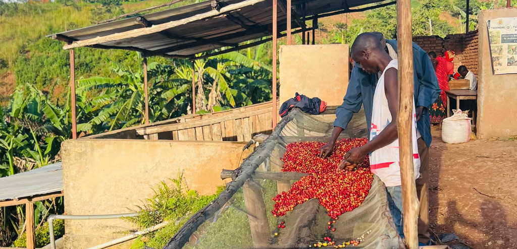 BURUNDI - Busasa