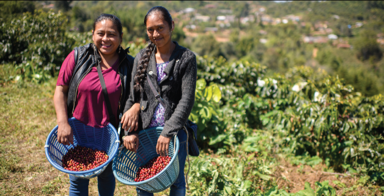 GUATEMALA - Manos de Mujer