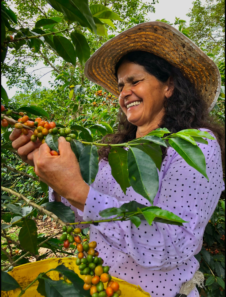 COLOMBIA - Asobombo