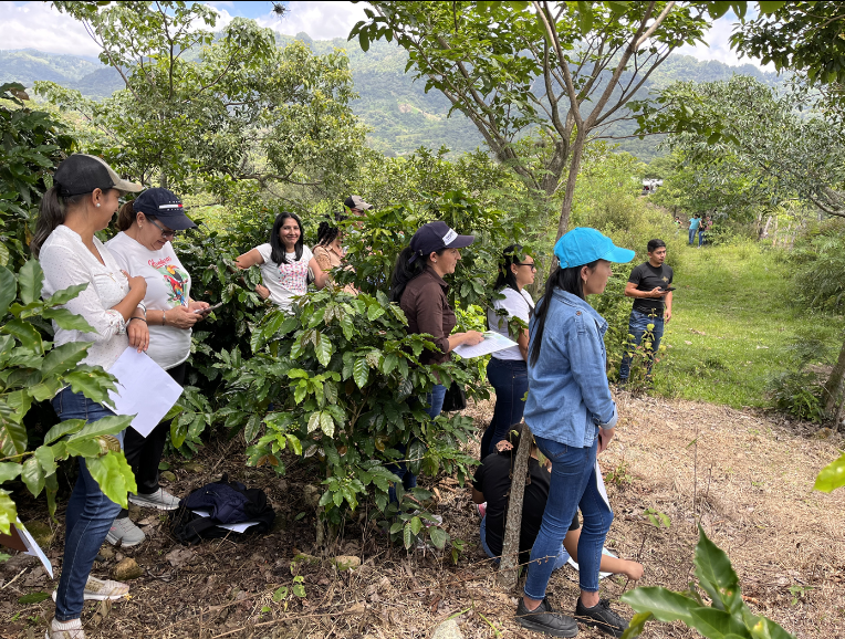 HONDURAS - La Labor
